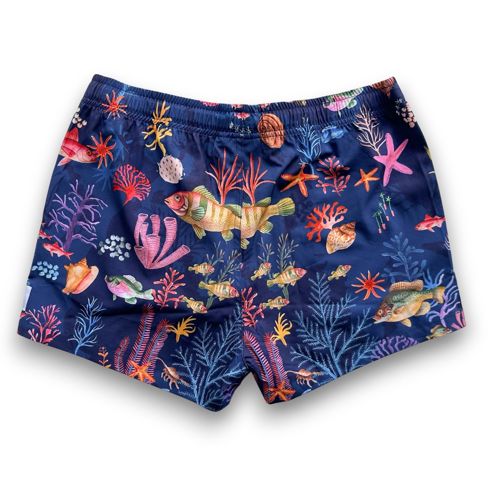 South Beach Boardies Womens Stretchy Trunks made from recycled plastic bottles, Underwater print back view