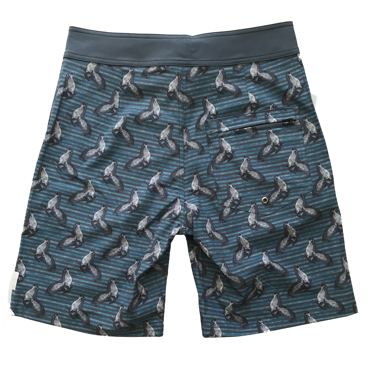 South Beach Boardies from recycled plastic bottles, Mens Surfer in Carnac, Sea Lions, back