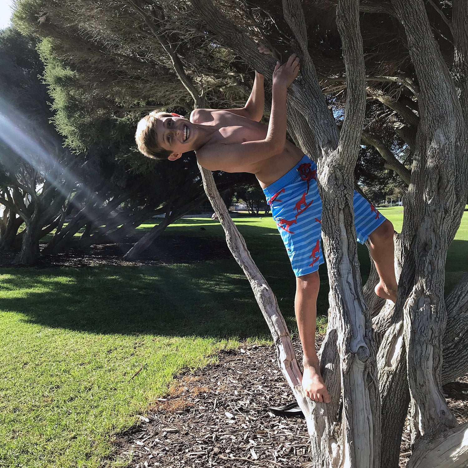 SBB Kids Long Boardies Dingo from recycled plastic bottles, boy in tree