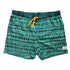 Men's Stretchy Trunks: Seagrass