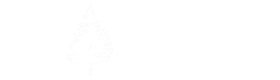 South Beach Boardies