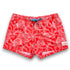 Women's Stretchy Shorts: Starfish